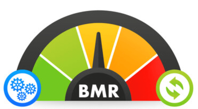 Cover Image for Understanding Basal Metabolic Rate (BMR)